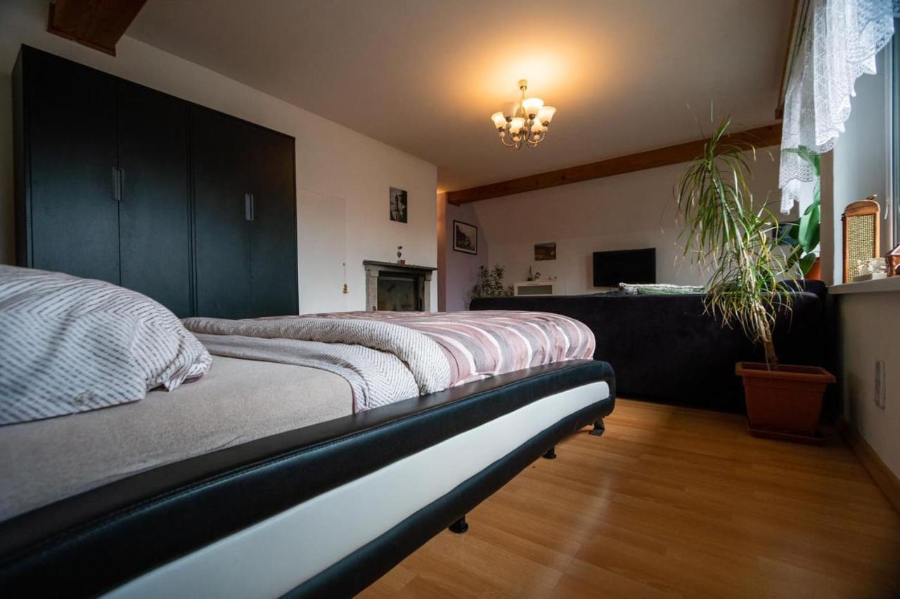 Sirovka Villa Horni Polubny Luaran gambar