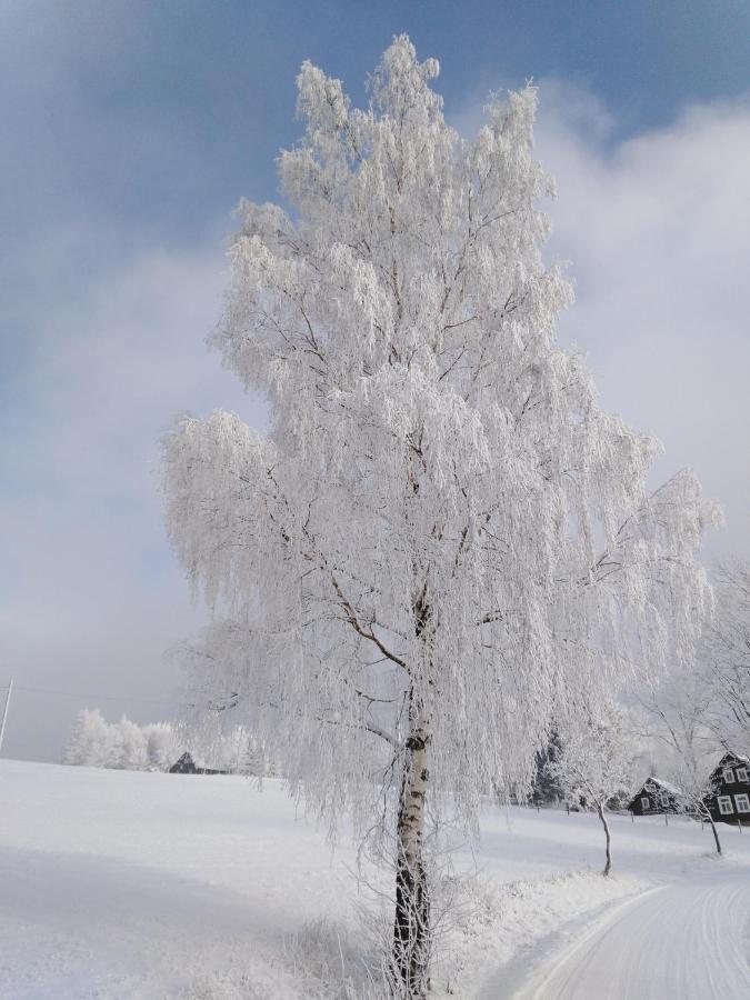 Sirovka Villa Horni Polubny Luaran gambar
