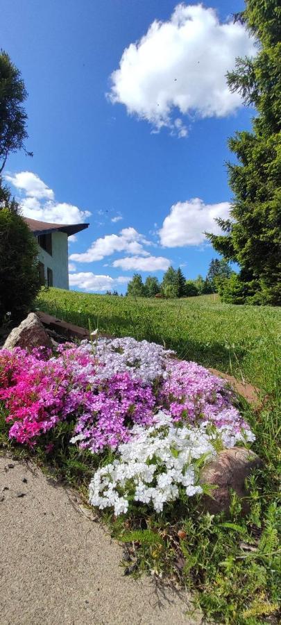 Sirovka Villa Horni Polubny Luaran gambar